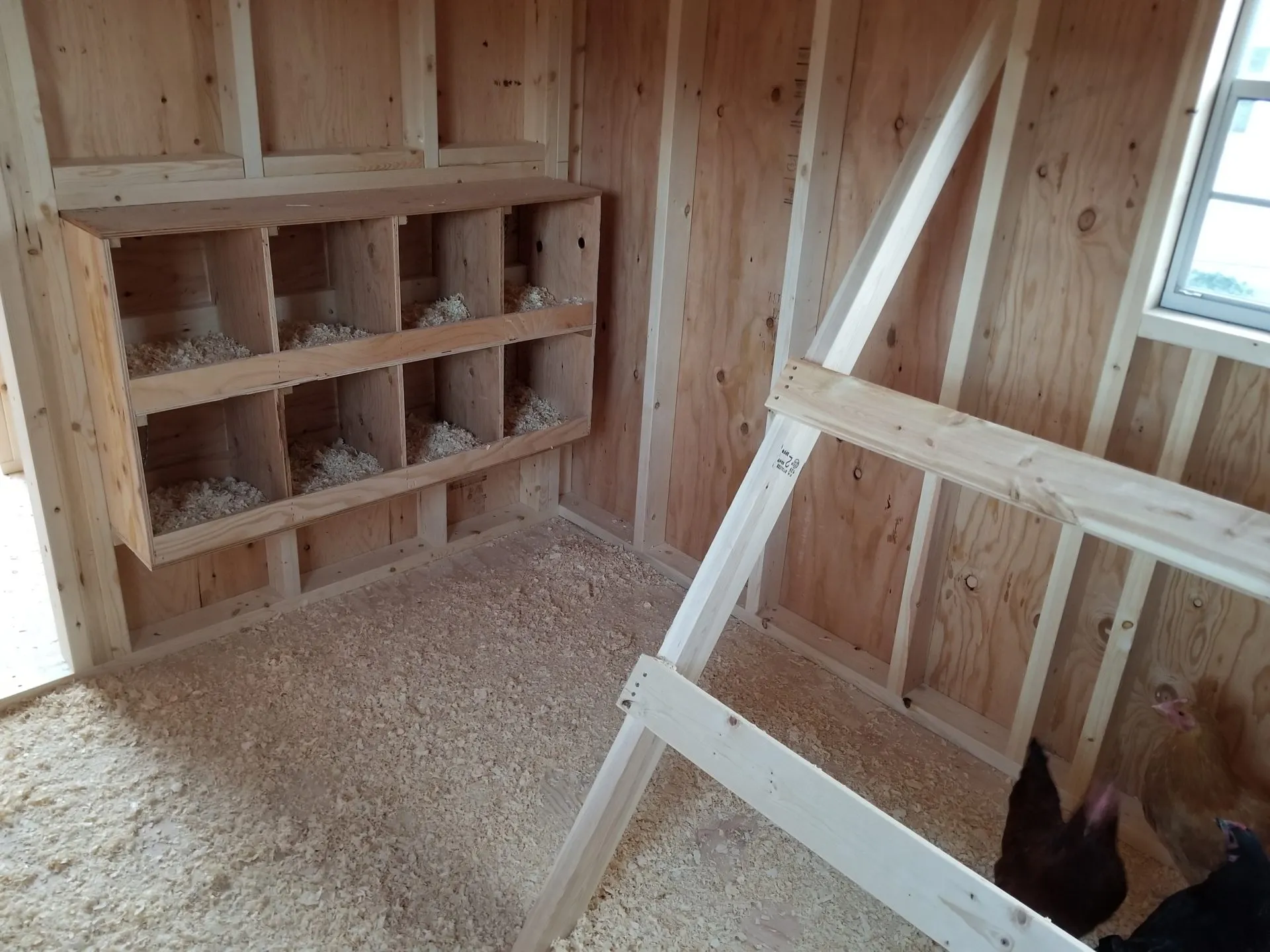 Chicken Coop Montana